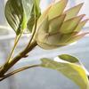 1Pc King Protea Artificial Flower Fake Plant DIY Wedding Bouquet Party Decor