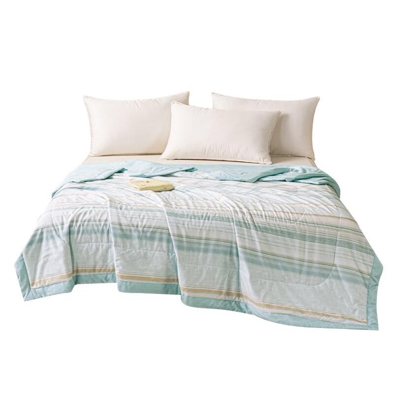 

DOHO Artemisia Scented Anti-bacterial Summer Quilt