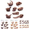 Educational And Interactive Dinosaur Fossil Toys Triceratops And Brachiosaurus Models