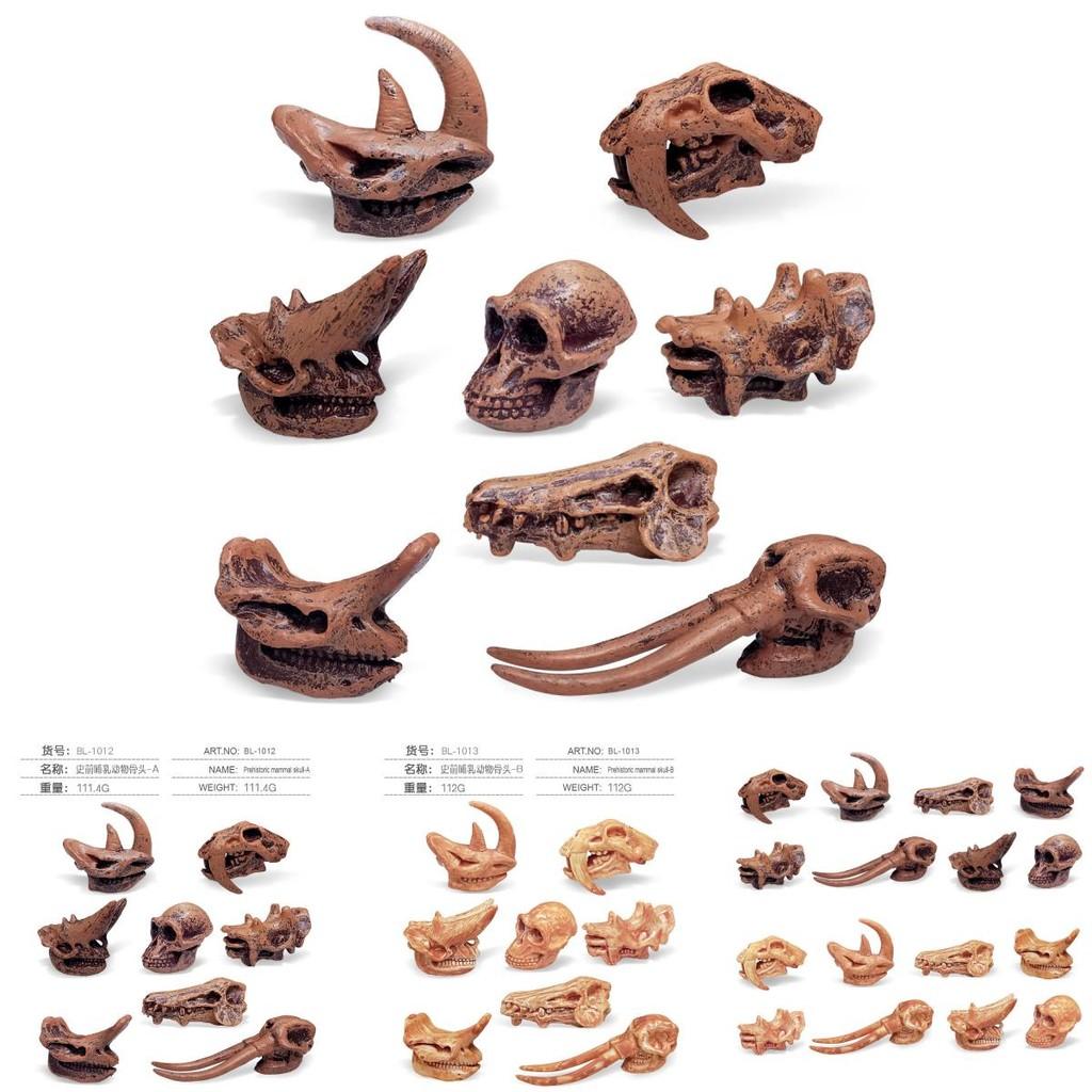 Educational And Interactive Dinosaur Fossil Toys Triceratops And Brachiosaurus Models