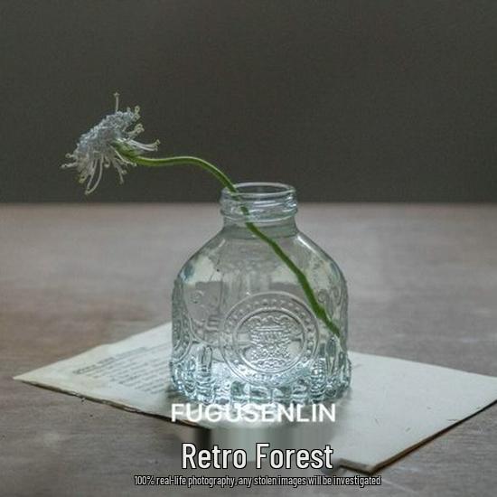 Small French Retro Glass Vase for Flowers and Hydroponics