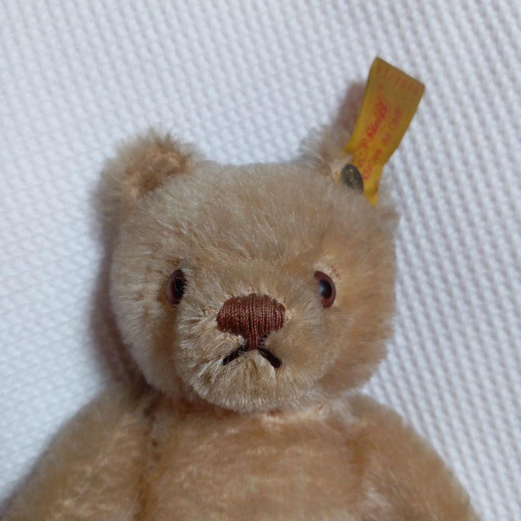 [USED] Steiff Teddy Bear with Yellow Tag