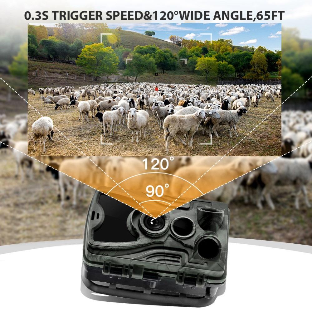 Hc801a Jagd-Hinterkamera 20 MP 1080p 940 nm Infrarot-Nachtsicht Ip65 Wildtierbewegung aktiviert 0,3 s Trigger-Po-Falle