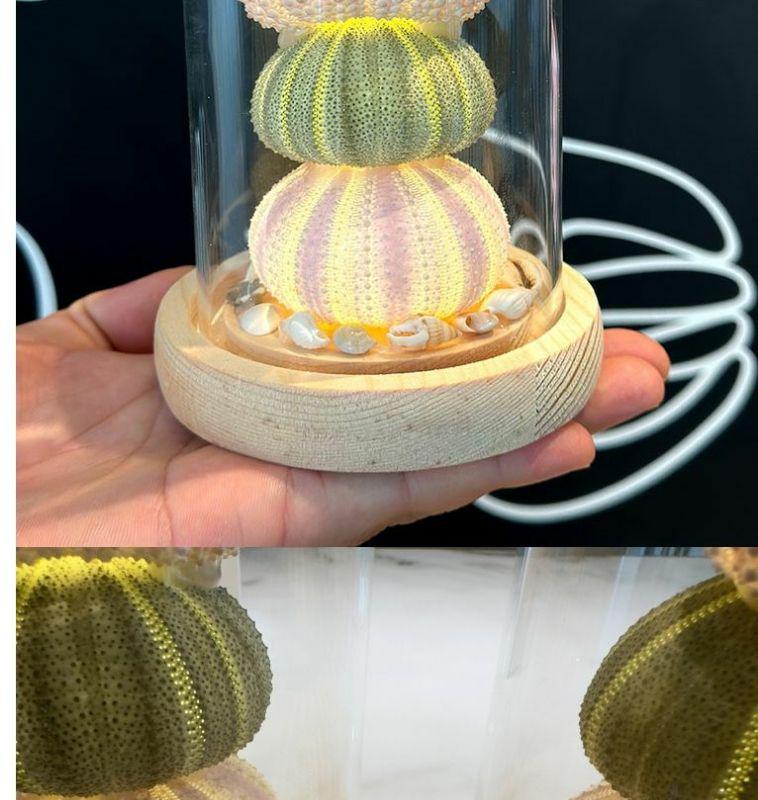 DIY Luminous Sea Urchin Night Light Kit - Birthday Gift for Girlfriend