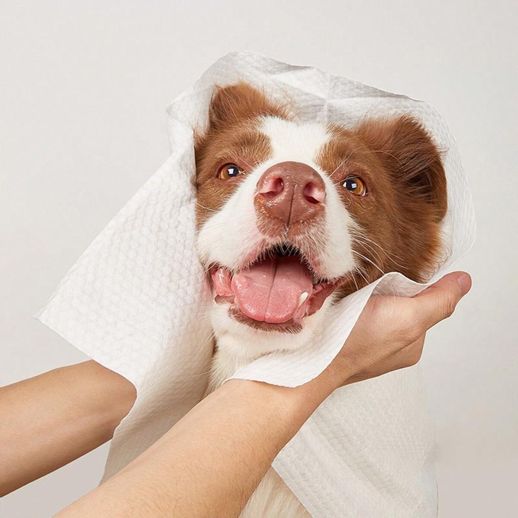 10 Stück - Einweg-Haustiertücher, große dicke spezifische Hunde- und Katzentücher, saugfähige Tücher