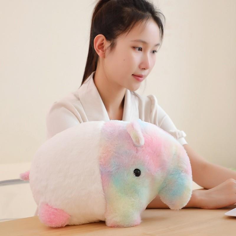 Large Soft Hugging Plush Toy Rainbow Dream Companion Perfect Gift For Girls