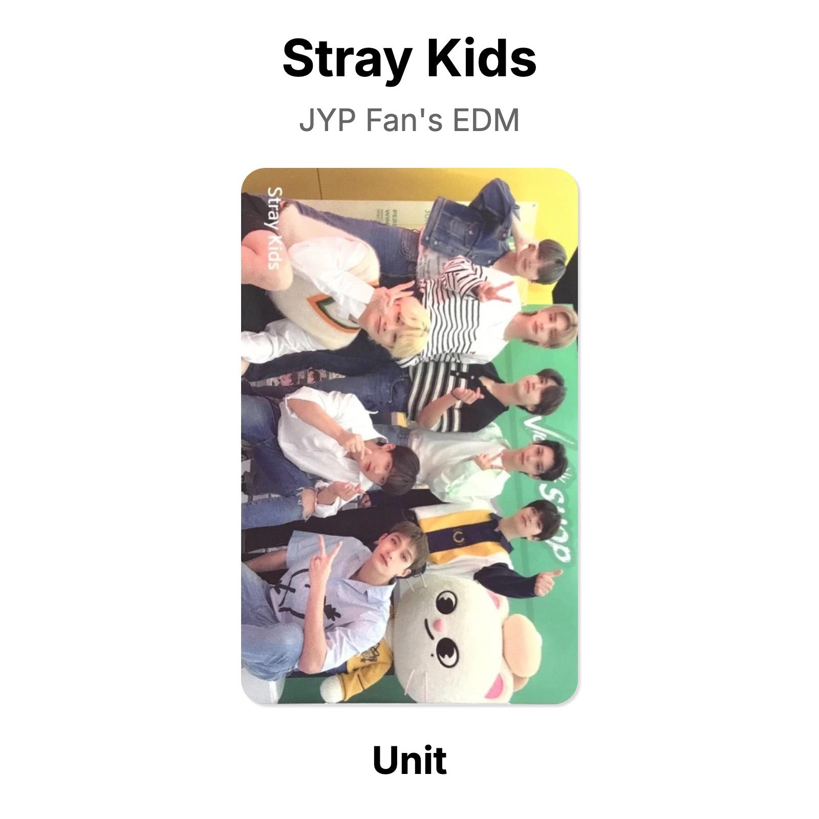Stray Kids JYP Официальная фотокарточка фаната EDM Unit