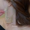 Silver Needle Super Flash Diamond-set Geometric Round Fringed Earrings Exaggerated Temperament Earrings Light Luxury High-end Earrings Women