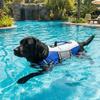 Reflective Dog Life Jacket Breathable Pet Life Preserver Dog Surfing Clothes  Outdoor Beach