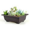 1 stk Plast Blomsterpotte Balkong Firkantet Blomsterpotte Blomster Bonsai Bowl Barnehagepotte Blomsterpotte Imitert rektangel barnehagebasseng