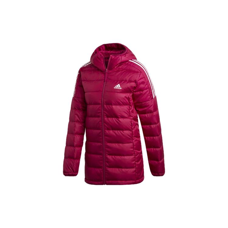 Пуховики Adidas Женские Красные С капюшоном Умеренные Другие GH4592 M