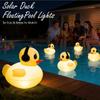 Schwimmende Poollichter Solarbetrieben Solar Aufblasbar Automatisch Partydekoration Außen Dekoration Schwimmende Poollichter Für Hochzeit