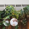 Outdoor Garden Fenced Shower Curtain With Lush Greenery Design Bathroom Decorative Shower Curtain Including 12 Hooks