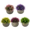 12*9.5CM Plastic Fake Grass Compact Size Artificial Plants For Shelf Compact Size Low Maintenance Office Decoration