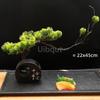 Sushi Onigiri Bento Sashimi Plate Decorative Vase with Flowers Sushi Shop Hotel Restaurant Sea Food Decorations Tree Artistic