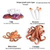 Marine Animal Simulation Model Figures: Shark, Dolphin, Hammerhead, Crab, Squid, Starfish for Kids' Education