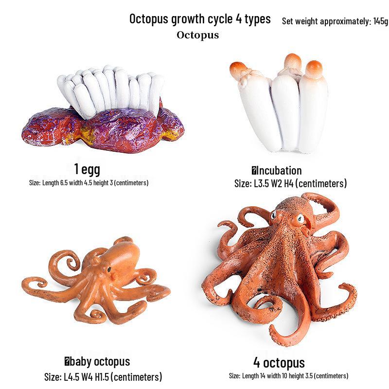 Marine Animal Simulation Model Figures: Shark, Dolphin, Hammerhead, Crab, Squid, Starfish for Kids' Education