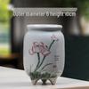 Blue & White Porcelain Flower Pot with Tray for Asparagus Fern, Money Tree, Orchid, Succulents & Bonsai 