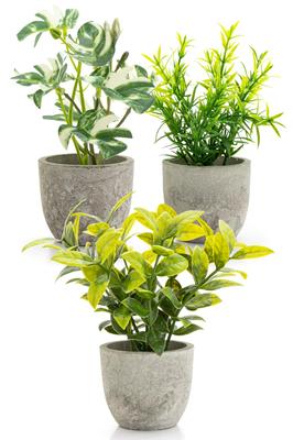 October1st Faux Greenery, Artificial Houseplants, 3-Piece Set, Tabletop, Photocatalytic Treatment, Artificial Flowers, Interior Decor, Mini Indoor