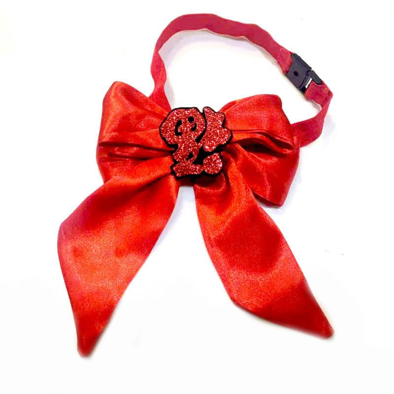 Haustier Katze Hund Roter Umschlag Spucktuch Haustier Segnungstasche Lätzchen Set Neujahrskleidung Zubehör Haustier