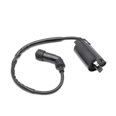 Motorcycle Ignition Coil XVS125 XVS250 Dragster XV125 XV240 XV250 Villago SRV250 AN250 AN400 Bergman Skywave 250 400 Motorcycle Ignition Coil
