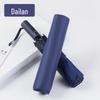 Paradise Fully Automatic Windproof UV Protection Umbrella