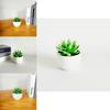 Simulated Succulent Bonsai Pot With Lightweight Pvc For Home Office Interior Design