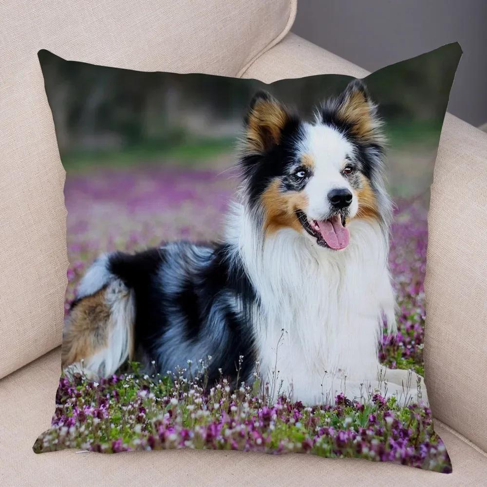 Cute Scottish Border Collie Pillowcase Dog Print Decor Pet Animal Cushion Cover Sofa
