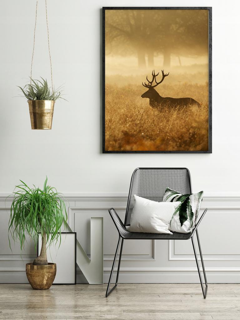 Picture Poster In a Frame 53x73 Cm Golden Deer Pio P661