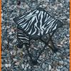 OEING Portable Folding Outdoor Stool