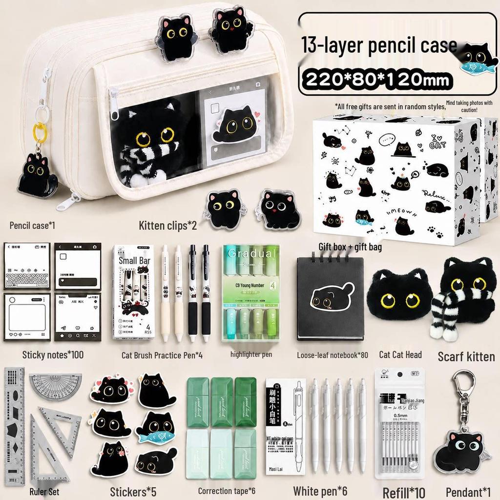 Cute Transparent Cat Pencil Case - 2026 Style, Popular Student Stationery Set with Unique Design