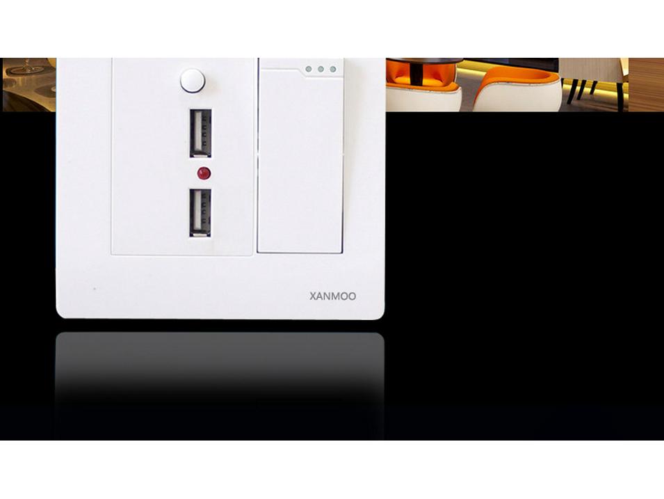 Type 86 Wall Single Pole Double Throw Switch with Dual USB Socket for Household