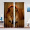 Cute Shiba Inu Dog Standing on Grass Sheer Curtains for Living Room Decor Window Curtain for Bedroom Kitchen Tulle Voile Drapes