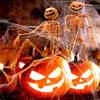 Halloween Skeleton Full Body Movement Joint Realistic Horror Skeleton Ghost House Cemetery Prop Pendan