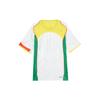 Nike Dri Fit Soccer Jersey Men's IB4219-100