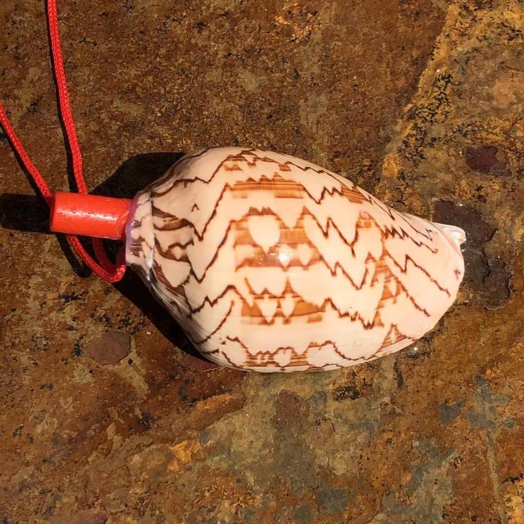 Street Stall Conch Shell Whistles & Toys: Creative Souvenirs