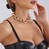 Grenzüberschreitender Schmuck, Einfacher Punk-Stil Übertriebene Dicke Kette Halskette, Personalisierte Straßenauktion Aluminiumkette Trend Halskette Damen