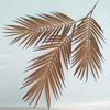 Artificial Plastic Palm Leaves Three Pronged Greenery Wedding Props Photography