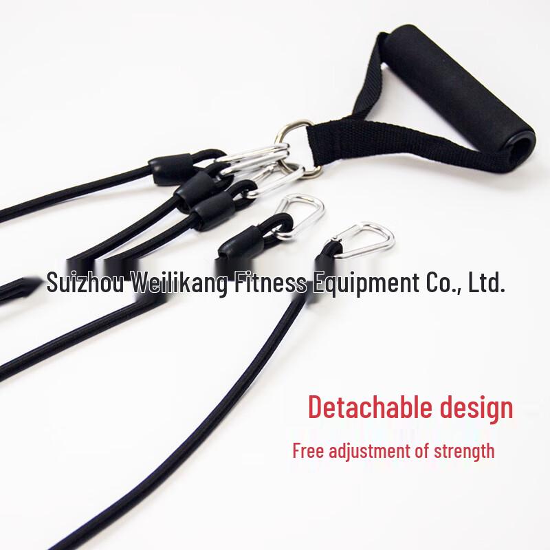 Chest Expander Resistance Band