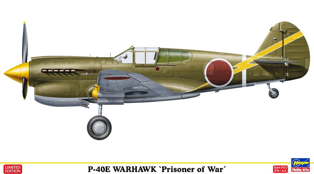 Hasegawa Warhawk Japanese Military Captured Aircraft 1/48 P-40E