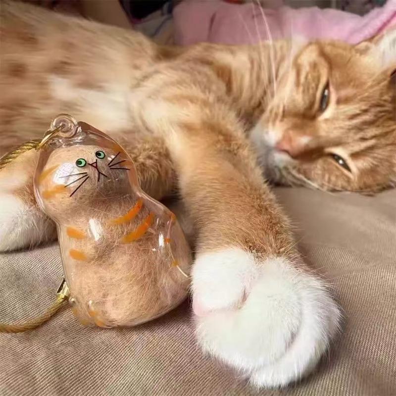 Niedlicher Kleiner Katze Fell Aufbewahrungsanhänger, Transparente Katze Fell Aufbewahrungsbox, Haustier Fellkugel Schlüsselanhänger