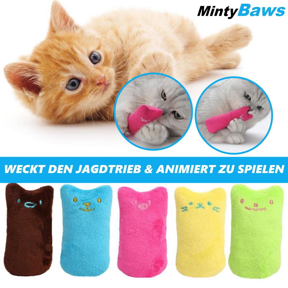 MintyBaws Catnip Pillow Cat Toys Cat Activity Mint Set of 5