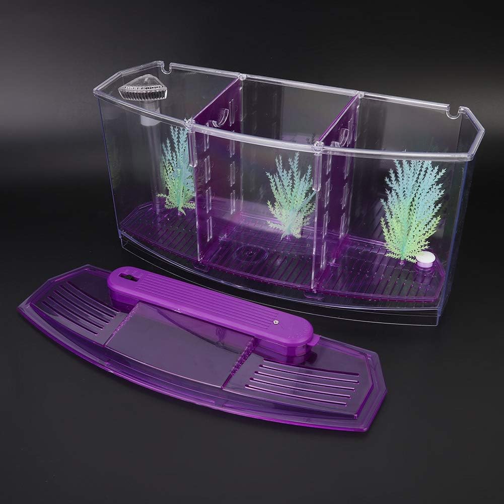 Three Areas Small Aquarium, Transparent Fish Tank, Desktop with Water Change Valve with LED Light for Betta Small Fishes(Purple)