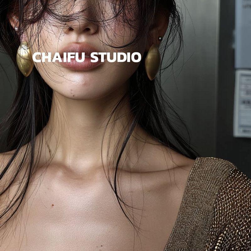 Chai Fu Studio/R562 Fashion Exaggerated Oval Metal Brushed Ear Studs Accessible Luxury Cold Style Thin Earrings Golden Pair