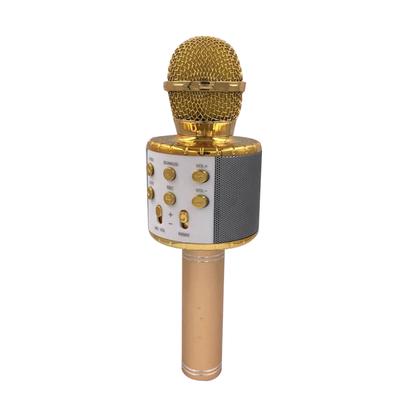 Wireless Bluetooth Speaker Home Microphone Flash LED Light Handheld Microphone
