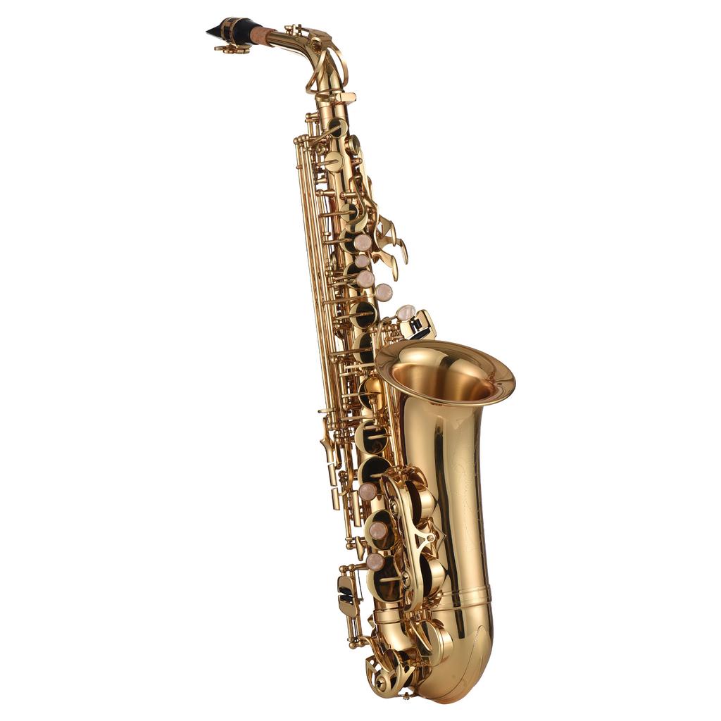   Alto Saxophone, Brass Lacquer Gold E Flat SAX 875 Key Type with SAX Accessories for All Types of Music