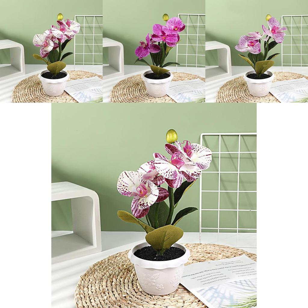 Artificial Phalaenopsis Flower Decor With Plastic And Silk Materials For Indoor Garden And Photography Props