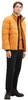 Зимняя куртка Tom Tailor Steppjacke mit Stehkragen (1037333) Pufferjacke (1037333) tomato cream orange