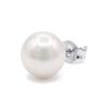 Boucles d'oreilles - PEARLS &amp; COLORS - Perles d'eau douce boutons - Argent 925 - Perle blanche 10-11 mm - Qualité AAA+