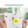 Strong Sticky Fly Traps
